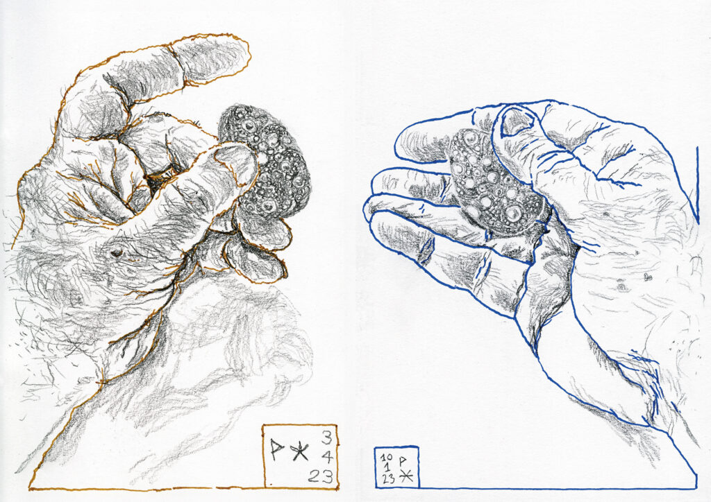 GAUCHER p6